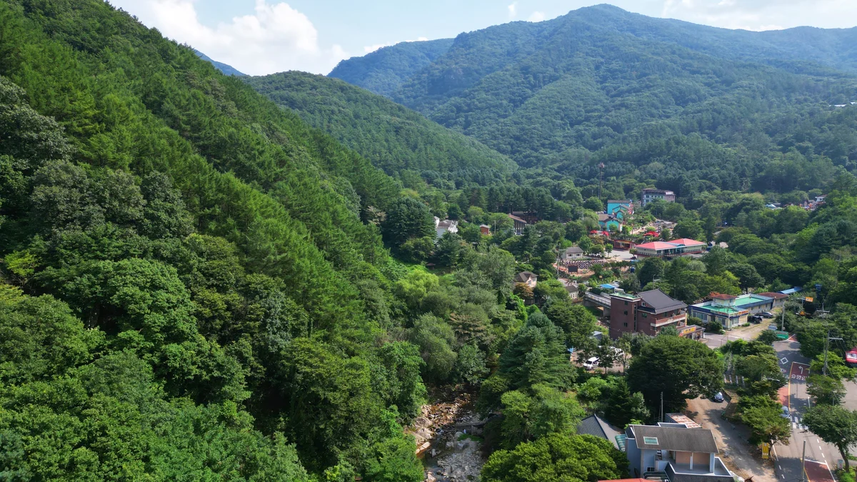 유명산 258