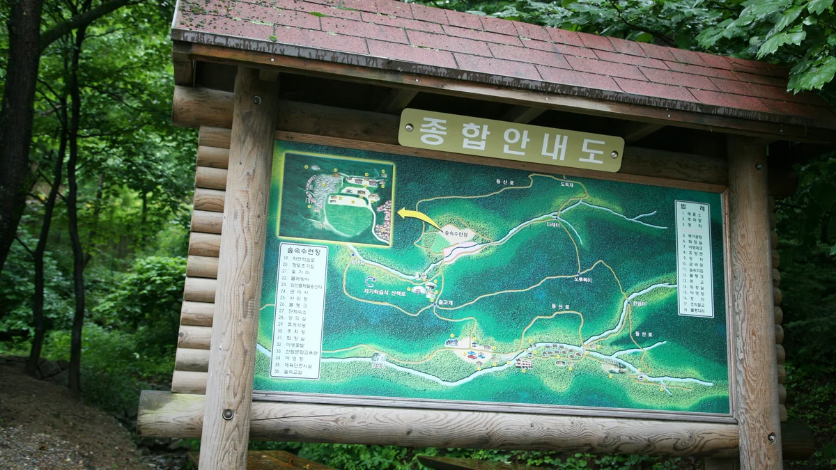 대관령자연휴양림야영장