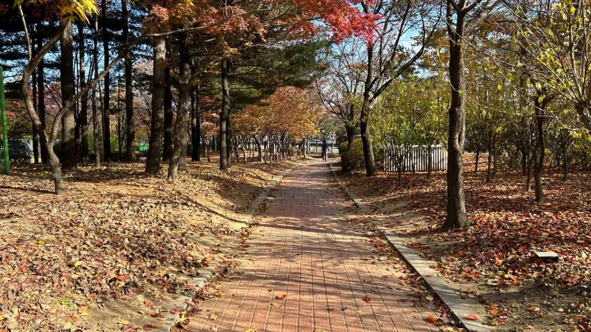 노들나루공원