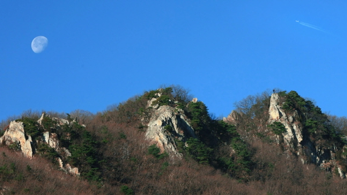 도드람산(저명산)