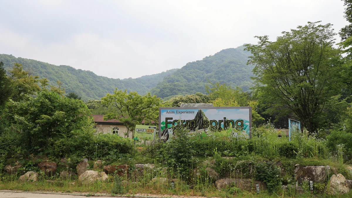 팜스프링 야영장