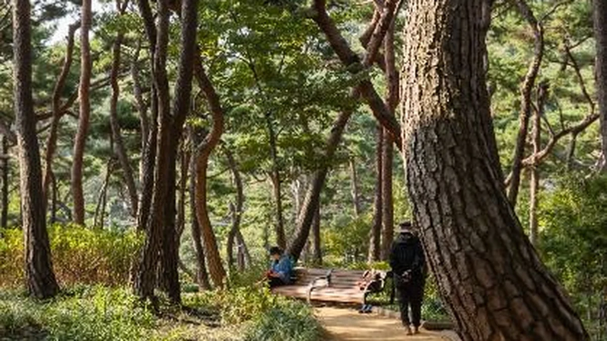 아차산