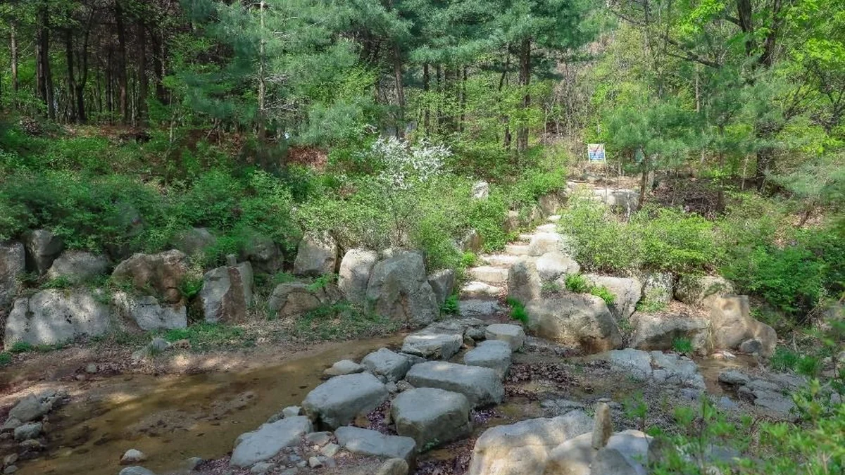 [서울둘레길 12코스] 호암산코스