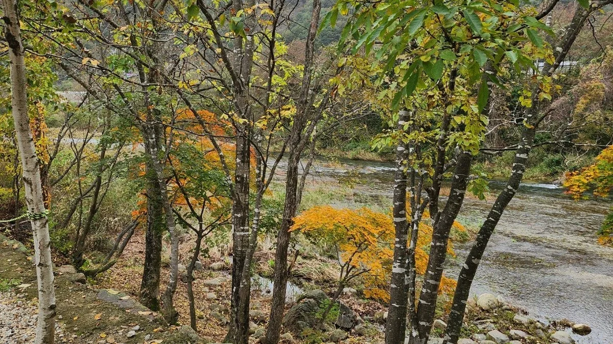 리버백담 캠핑장