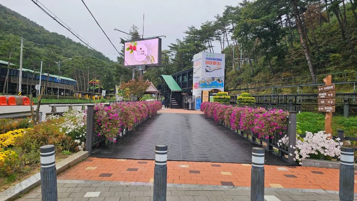 속리산테마파크모노레일