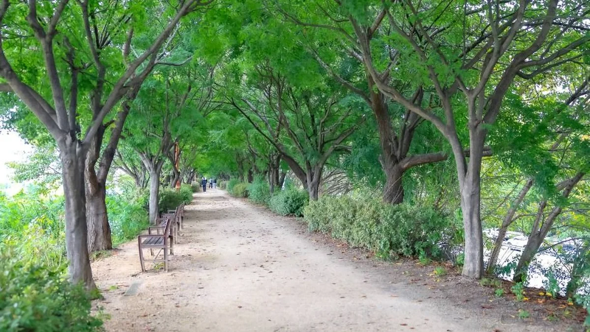 [서울둘레길 14코스] 안양천 하류코스