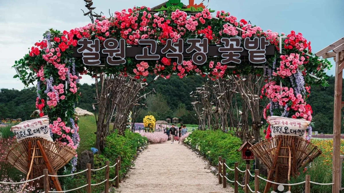고석정 꽃밭