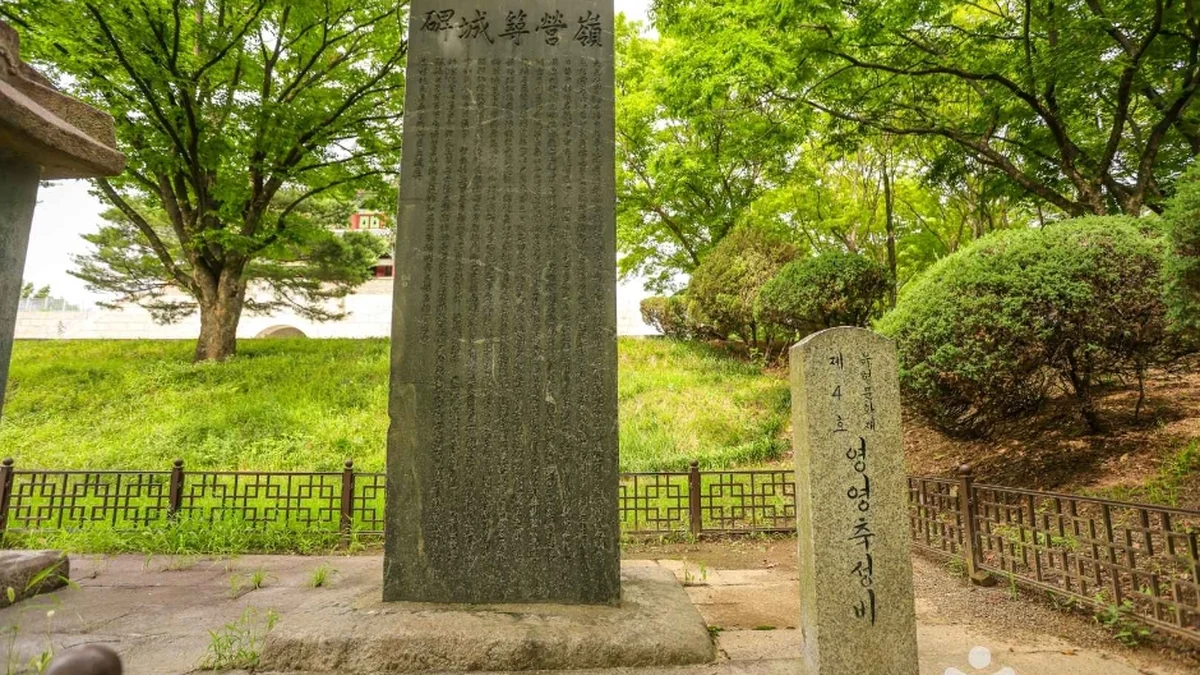 영영축성비