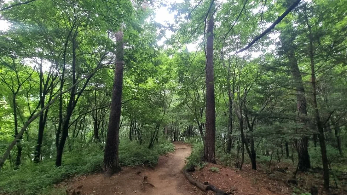 [서울둘레길 17코스] 북한산 은평코스