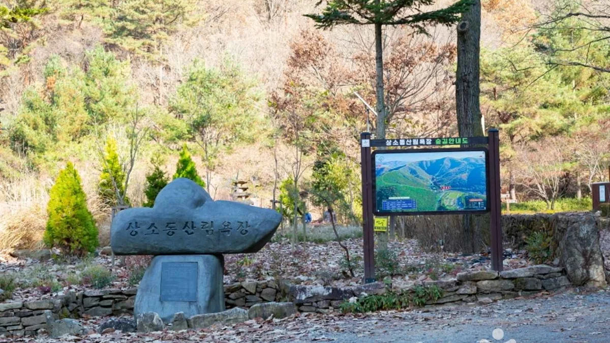 상소동 산림욕장