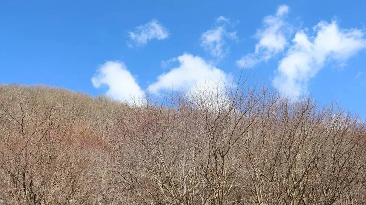 국립 회문산자연휴양림