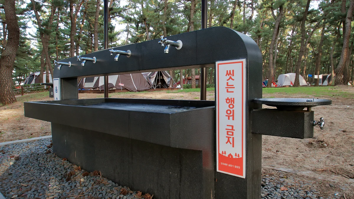 연곡해변 솔향기캠핑장