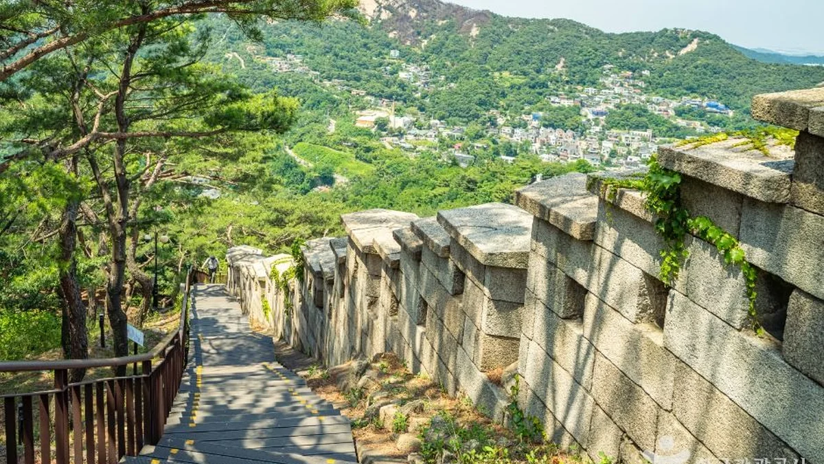 백악마루