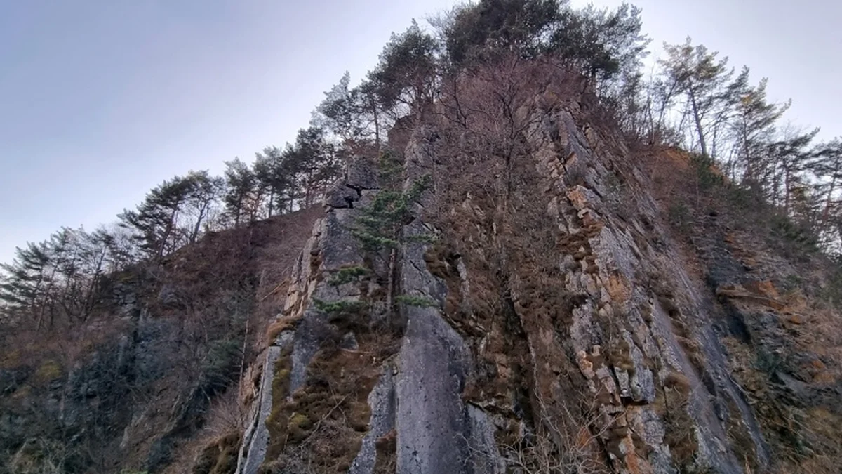금천골 석탄층