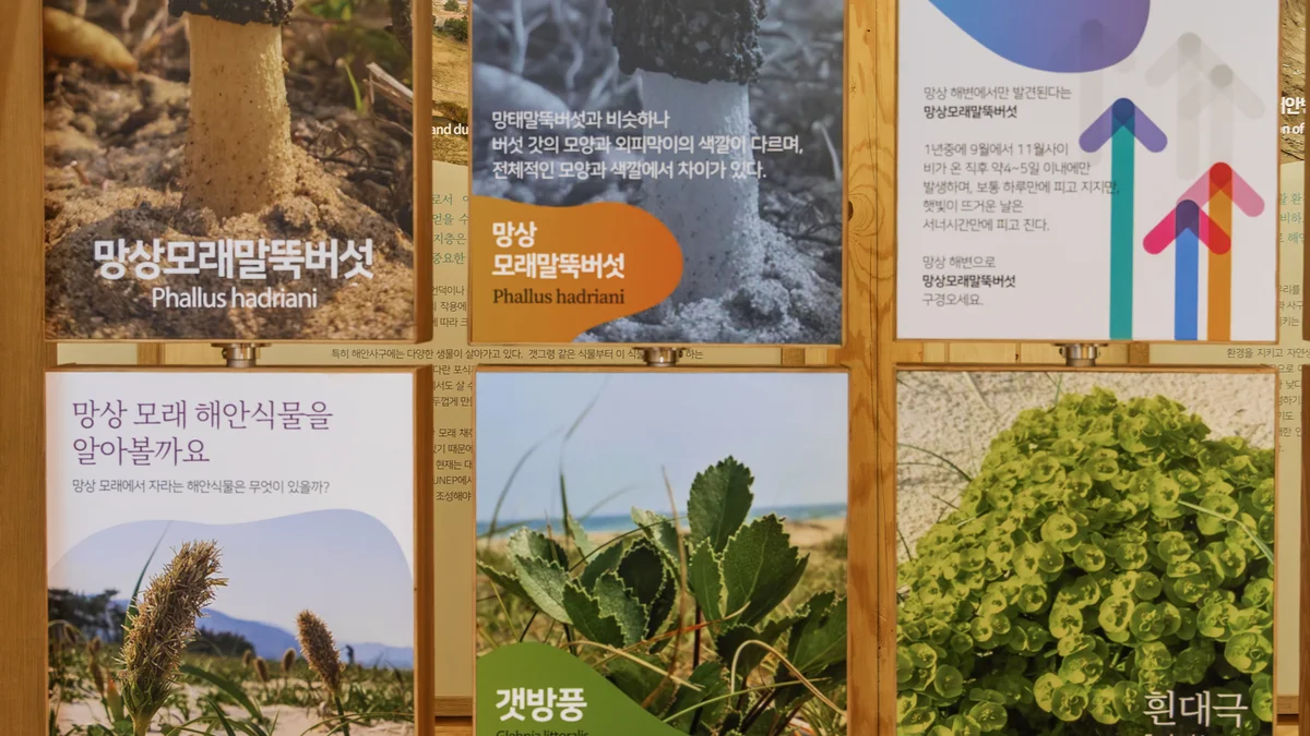 망상오토캠핑리조트