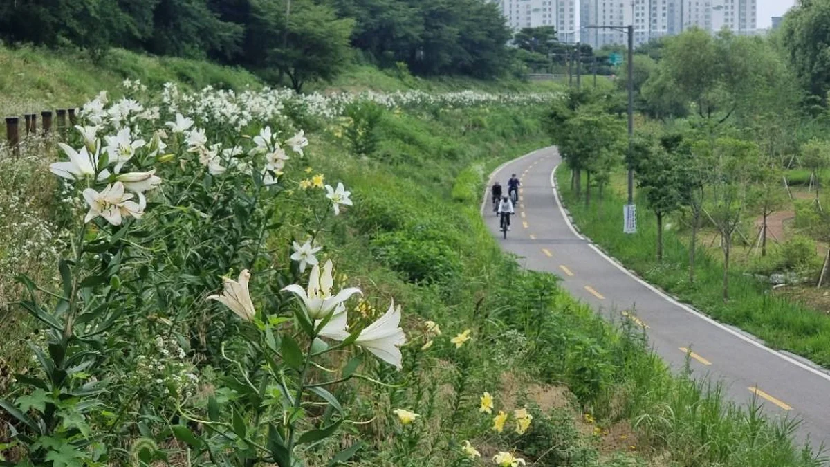 [서울둘레길 14코스] 안양천 하류코스