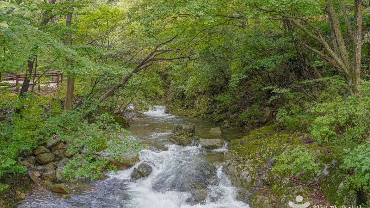 국립 운장산자연휴양림