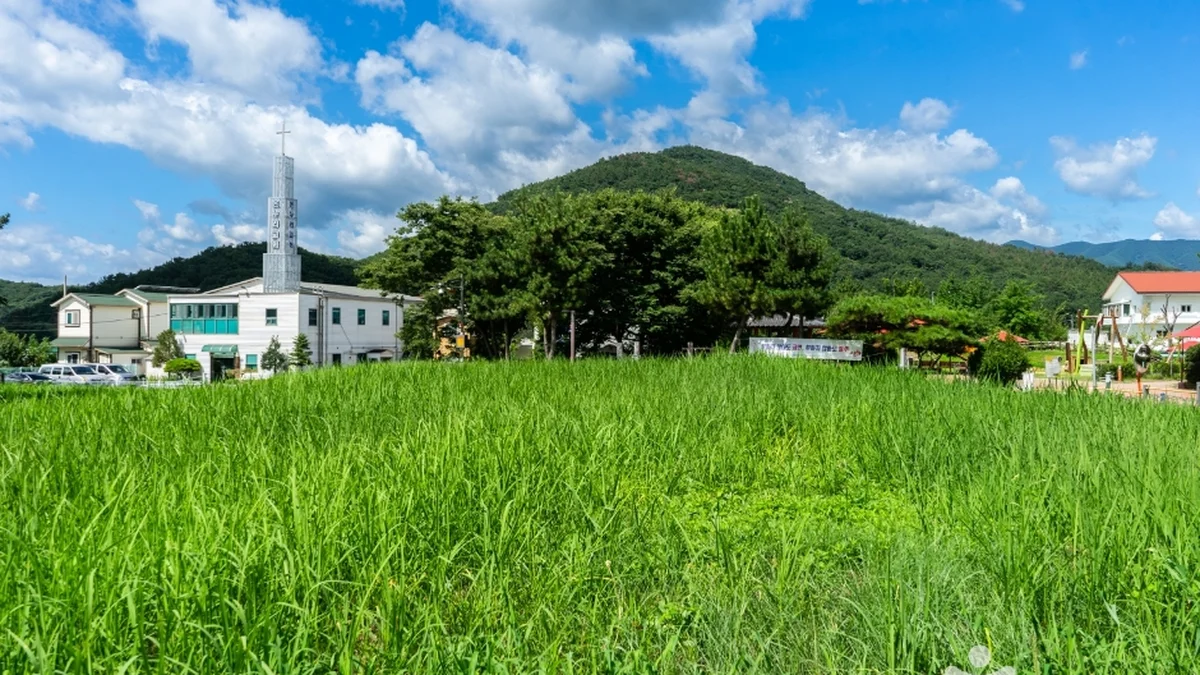 중산동 고분군