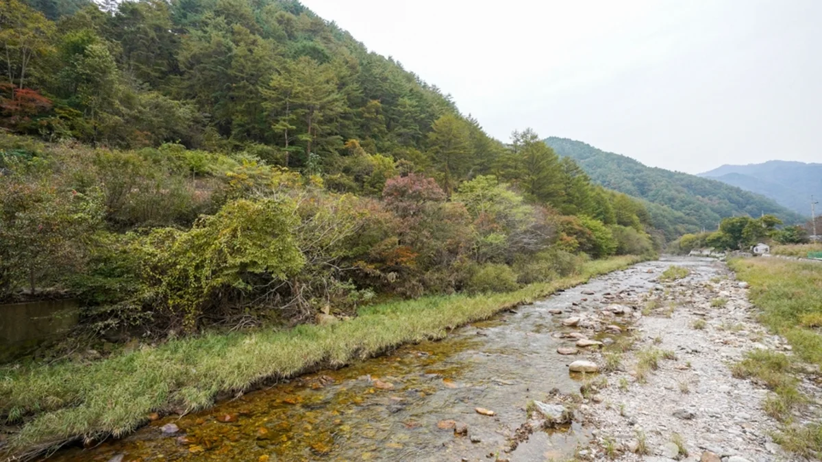 고선계곡(구마계곡)