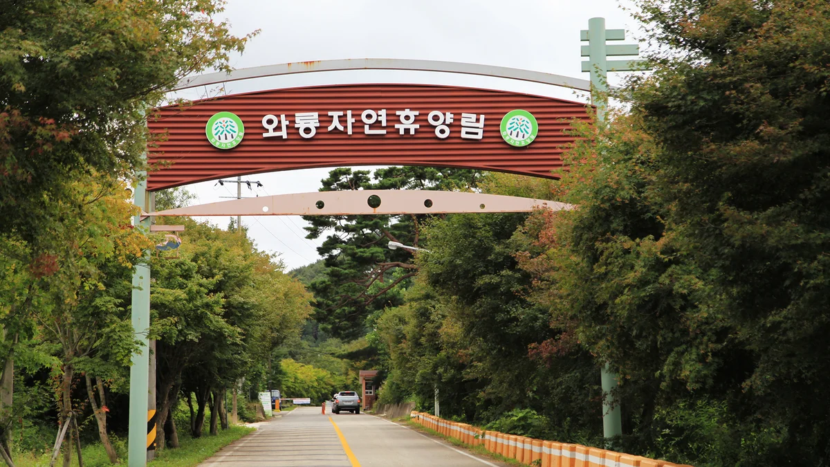 와룡자연휴양림 일반야영장