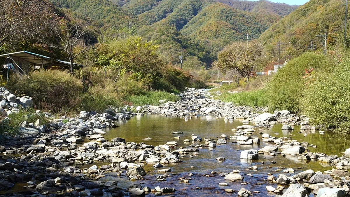 담터계곡