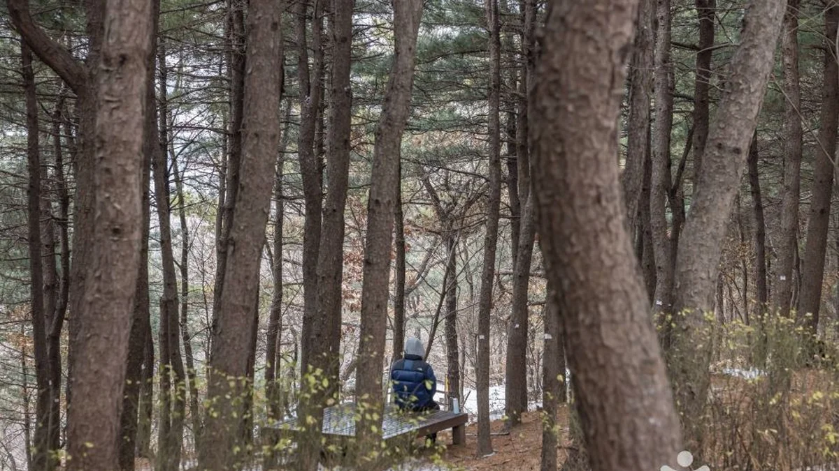 초안산