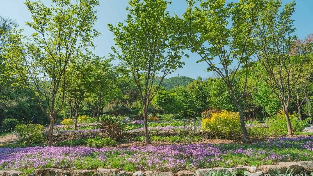 대모산숲속야생화원