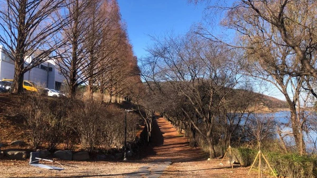 연세대 원주캠퍼스길