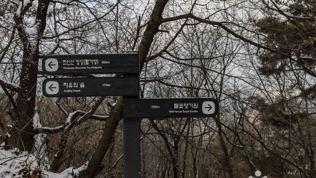 초안산