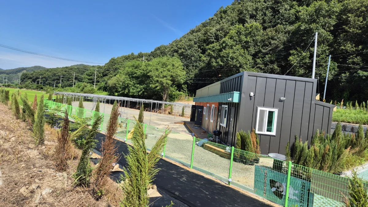 도지캠핑