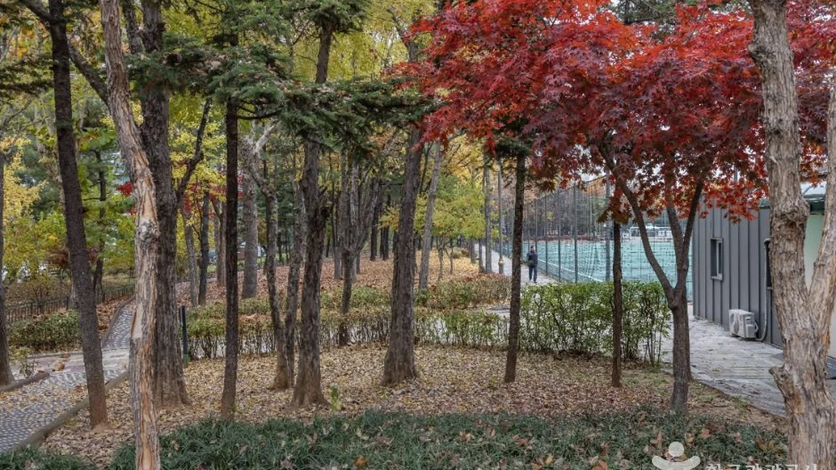 독산 근린공원