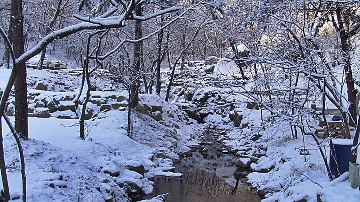마실 캠핑장