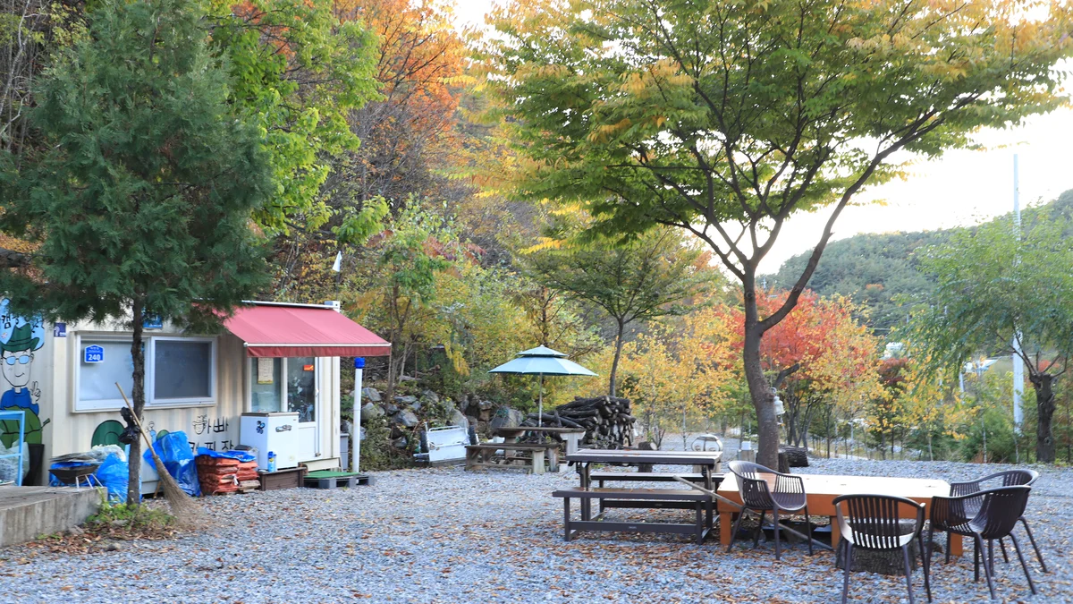 아빠가 만든 캠핑장