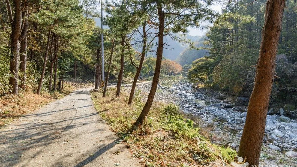명지계곡
