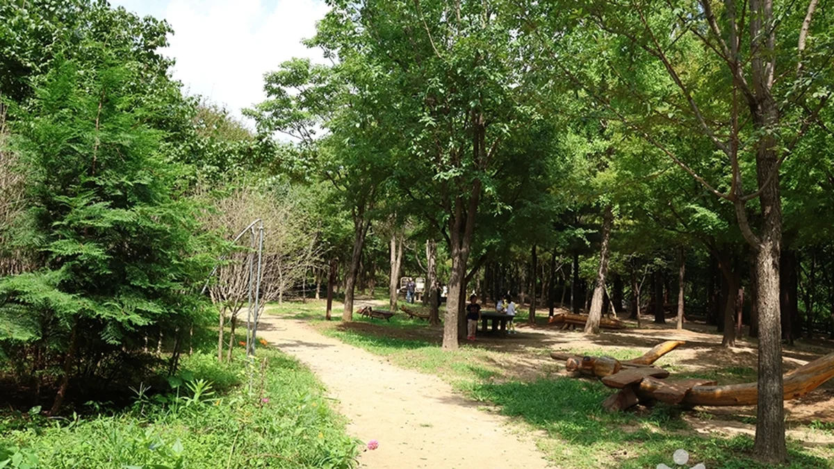 월드컵공원 유아숲체험원