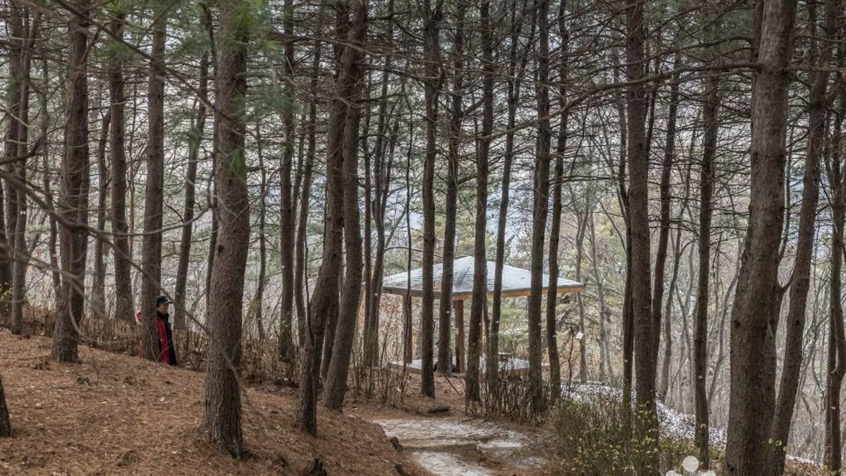 초안산
