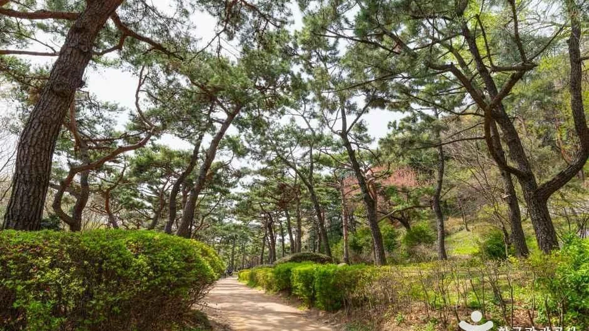 남산 야외식물원