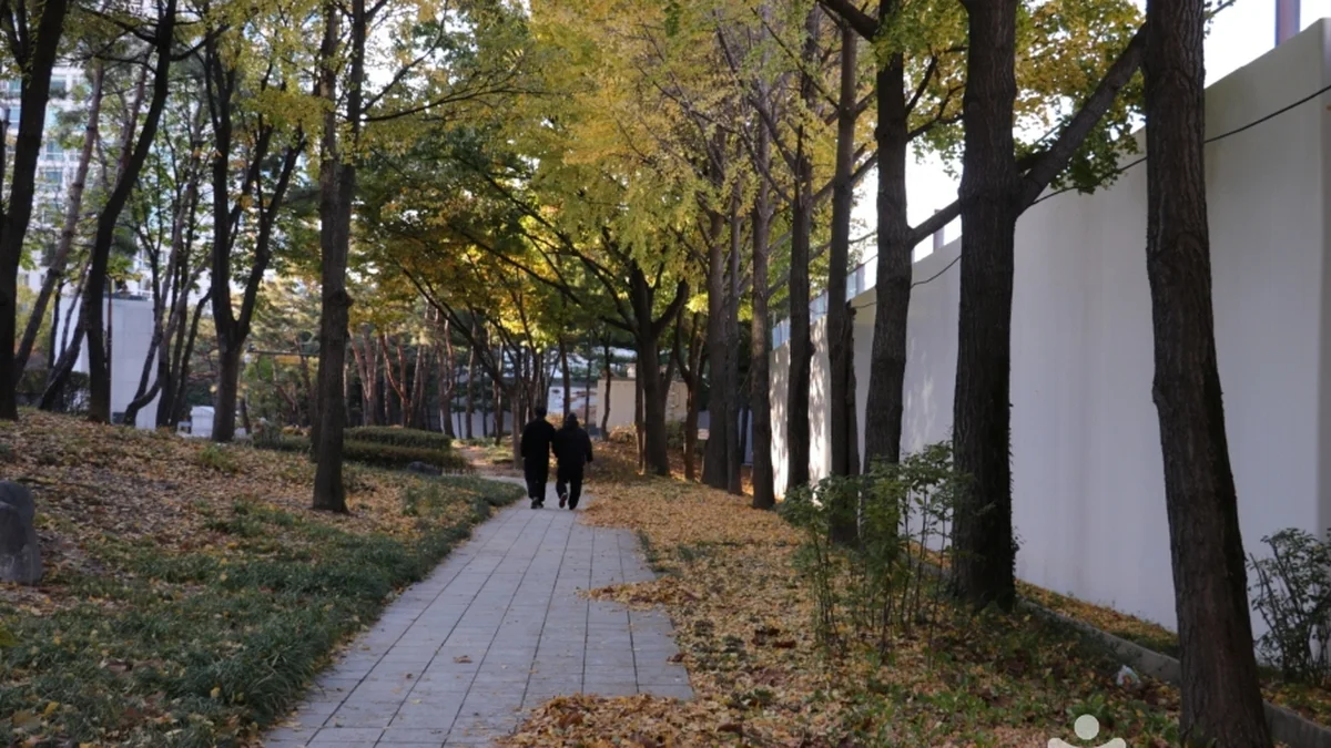 훈련원공원