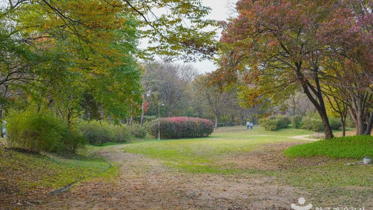 난지천공원