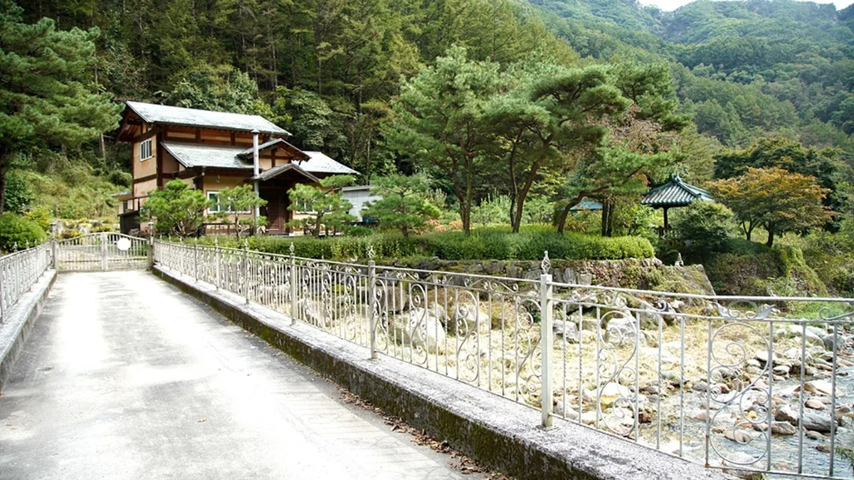 금대계곡