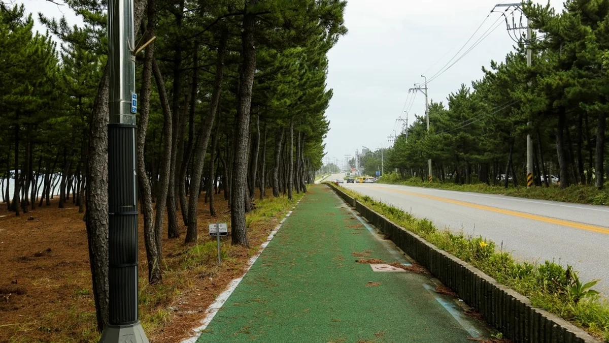 순포해변
