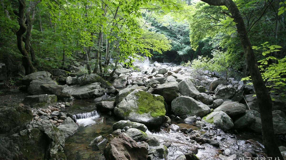 국립 지리산자연휴양림