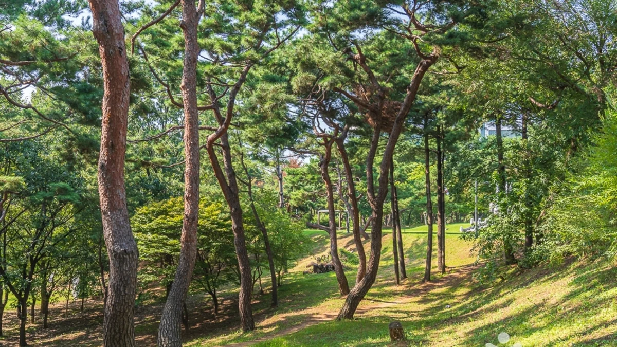 청주 발산공원