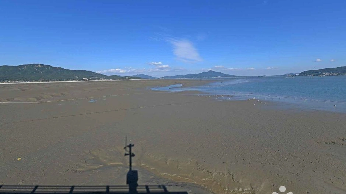 어류정항