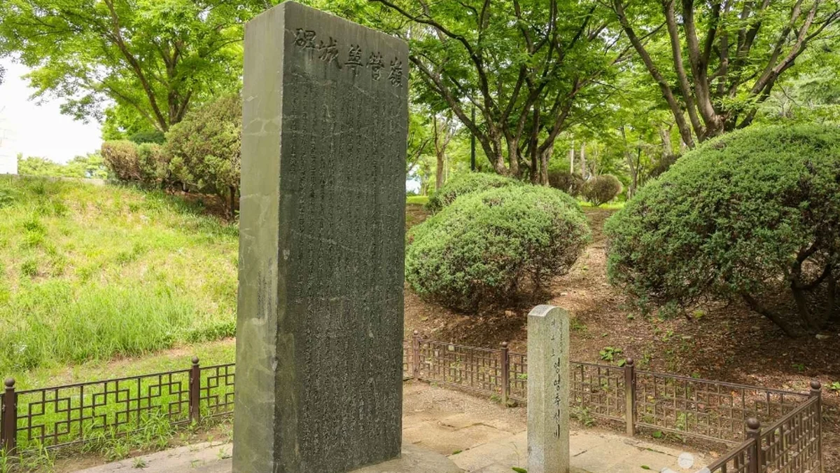 영영축성비