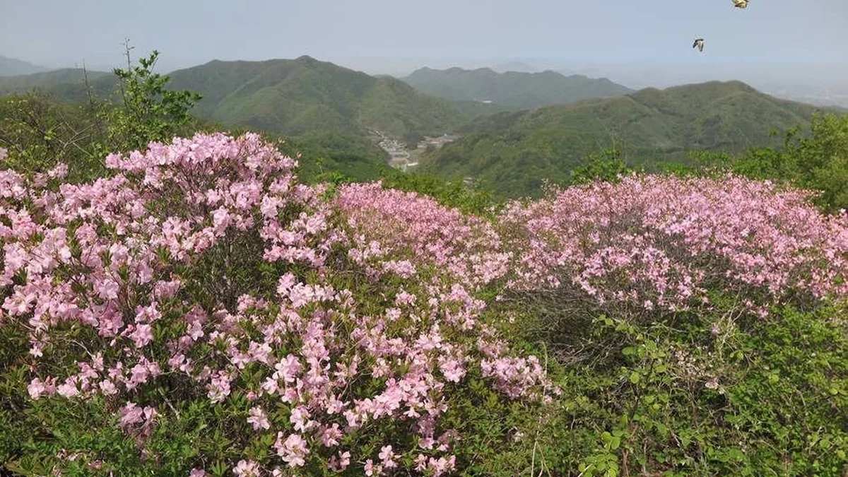 국사봉(순창)