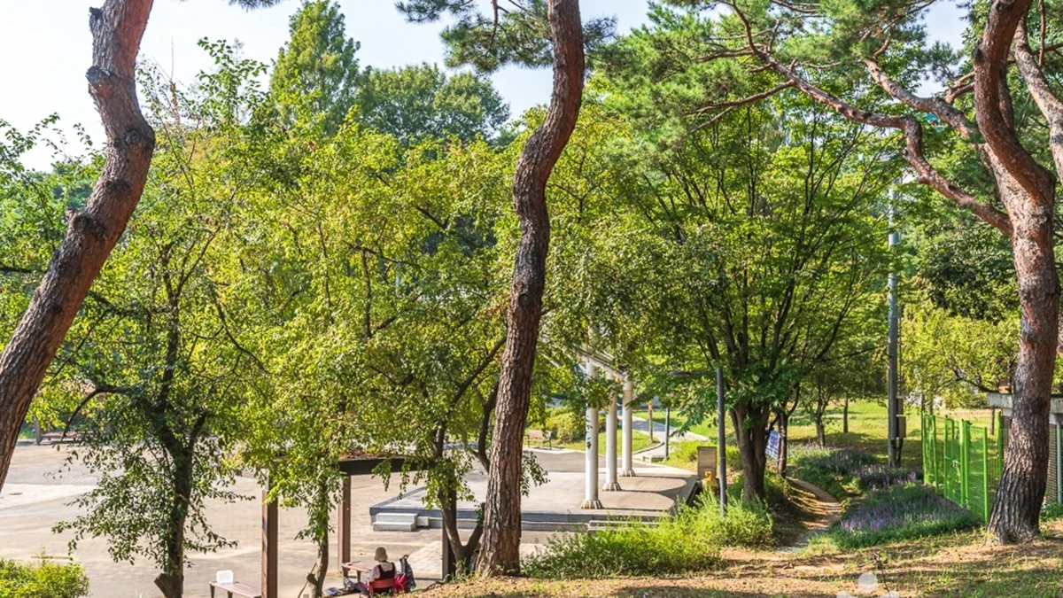 청주 발산공원