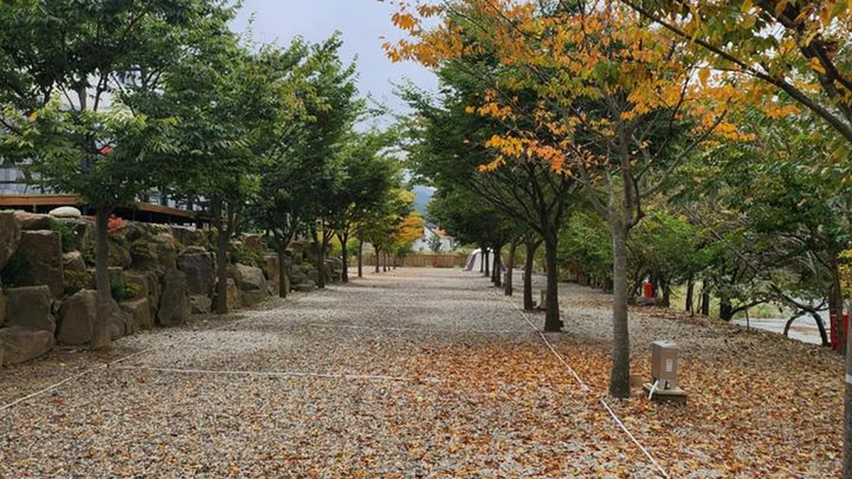 리버백담 캠핑장
