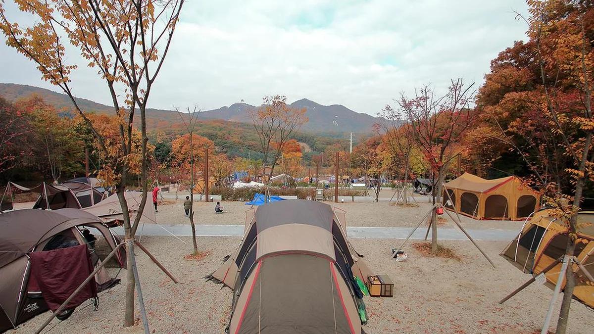 초막골생태공원 느티나무야영장