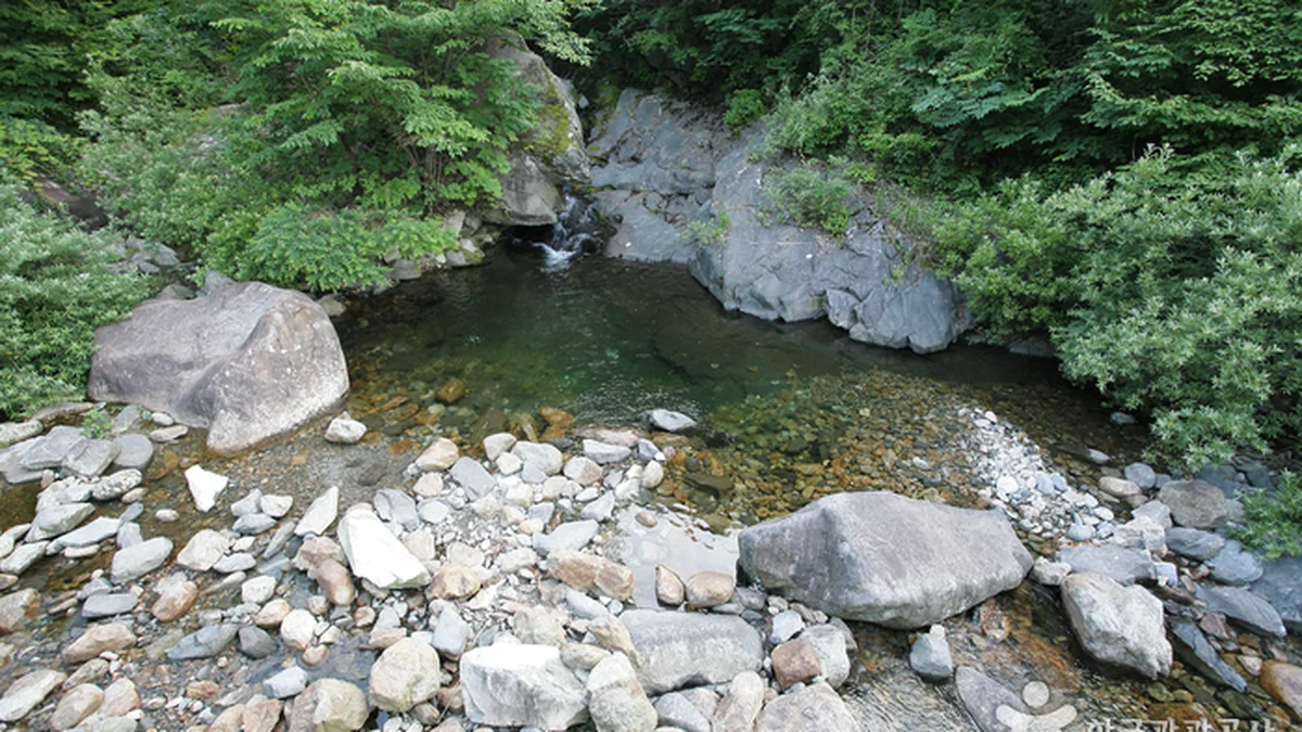 국립 지리산자연휴양림